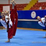 poomse hatay 2016 -015