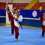 poomse hatay 2016 -024
