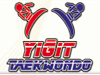 YİĞİT TAEKWONDO SK logo 100