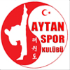 AYTAN SK logo 100