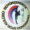 BÜYÜK ÇEKMEÇE SK logo 100