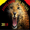 ŞÜKRÜ BARAN SK logo 100