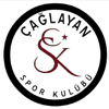 caglayan taekwondo SK logo 100