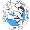cankılıç SK logo 100 – Kopya