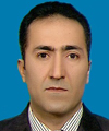 fevzi yavuz