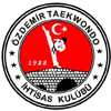 özdemir SK logo 100