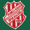 rumelikavagı SK logo 100