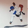 savaş ve çelik SK logo 100