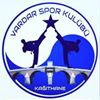 vardar SK logo 100