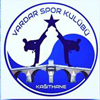 vardar SK logo 100