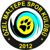 ÖZEL MALTEPE SK logo 100