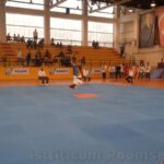 poomse 2019 kagıttahe00003