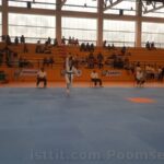 poomse 2019 kagıttahe00015
