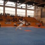 poomse 2019 kagıttahe00020