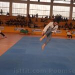 poomse 2019 kagıttahe00025