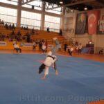 poomse 2019 kagıttahe00030