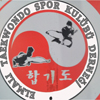 elmalı SK logo 100