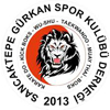 sancaktepe gürkan SK logo 100