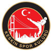 KESKİN SK logo 100