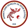 YANKI SK logo 100